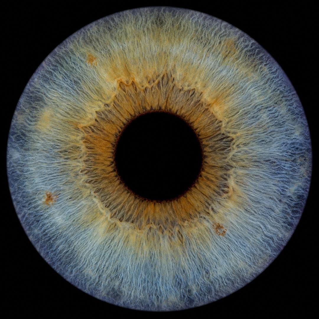 A qui sont nos données biométriques?